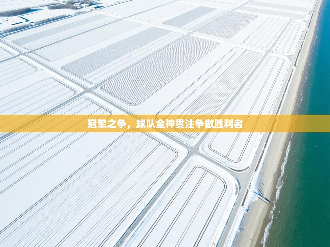 冠军之争，球队全神贯注争做胜利者